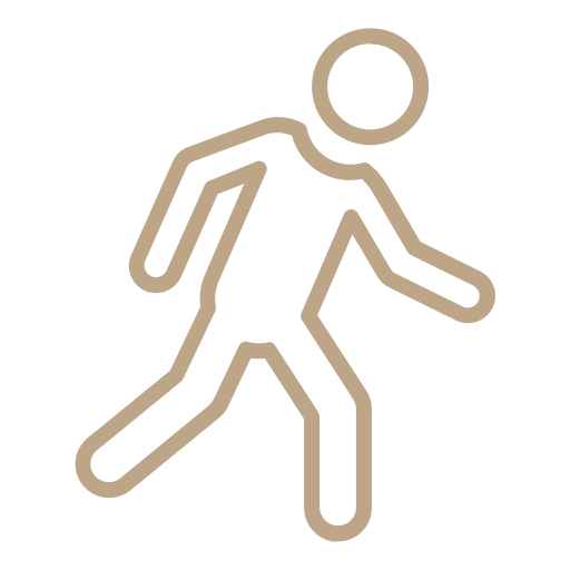 Premium New Launch Project